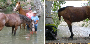 Cowboy Adventures and Camps